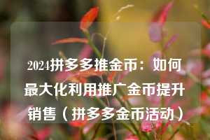 2024拼多多推金币：如何最大化利用推广金币提升销售（拼多多金币活动）  第1张