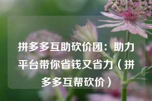 拼多多互助砍价团：助力平台带你省钱又省力（拼多多互帮砍价）  第1张