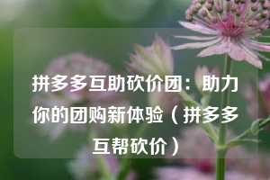 拼多多互助砍价团：助力你的团购新体验（拼多多互帮砍价）  第1张