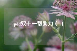 pdd双十一帮助力（ ）  第1张